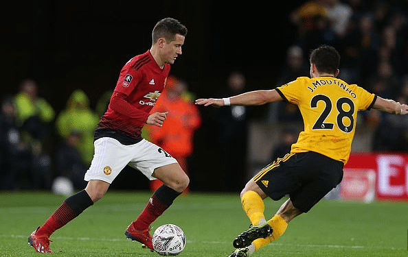 球迷们无疑 球迷们无疑